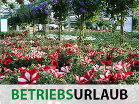 Betriebsurlaub 10.08. - 15.08.2020 Betriebsurlaub 10.08. - 15.08.2020