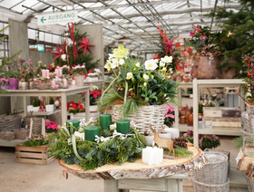 Gärtnerei Kittl Adventausstellung 2019 Gärtnerei Kittl Adventausstellung 2019