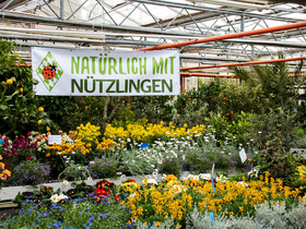 Natürlich mit Nützlingen Natürlich mit Nützlingen