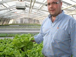 Herr Puffer mit Salatpflanzen