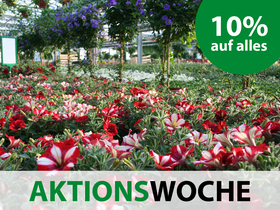 Aktionswoche April 2019 Aktionswoche April 2019
