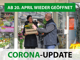 Corona-Update Gärtnerei Kittl Corona-Update Gärtnerei Kittl